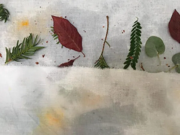 WhatsApp Image 2019 02 04 at 18.03.53 600x450 1