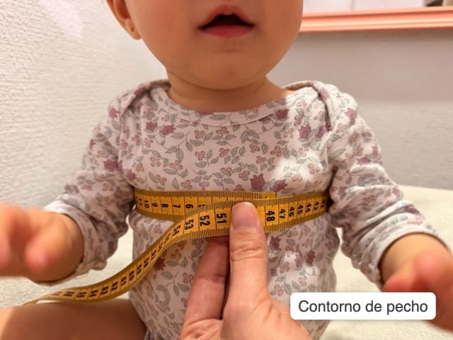 Contorno de pecho